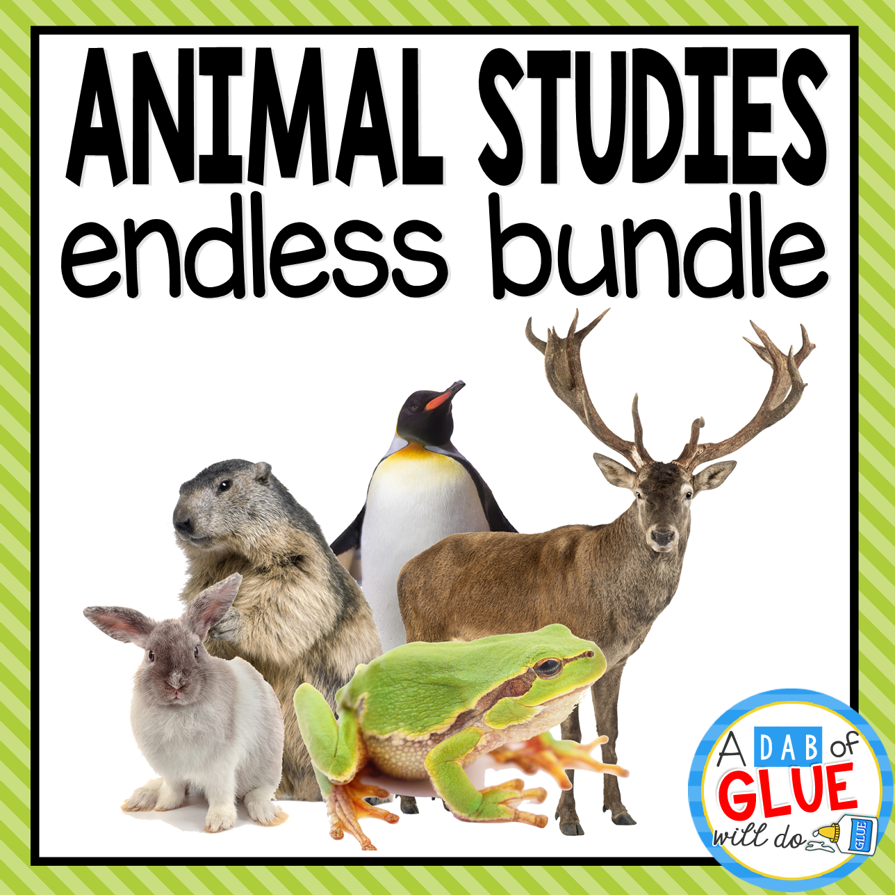 Animal Studies endless-bundle