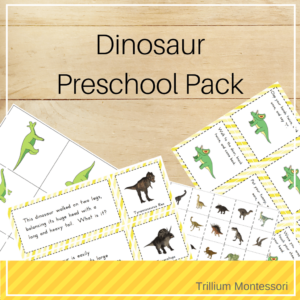 Dinosaur Preschool Pack