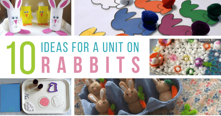 Preschool Rabbits Unit FB Featured