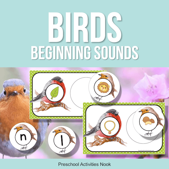 Birds Beginning Sounds Square Cover