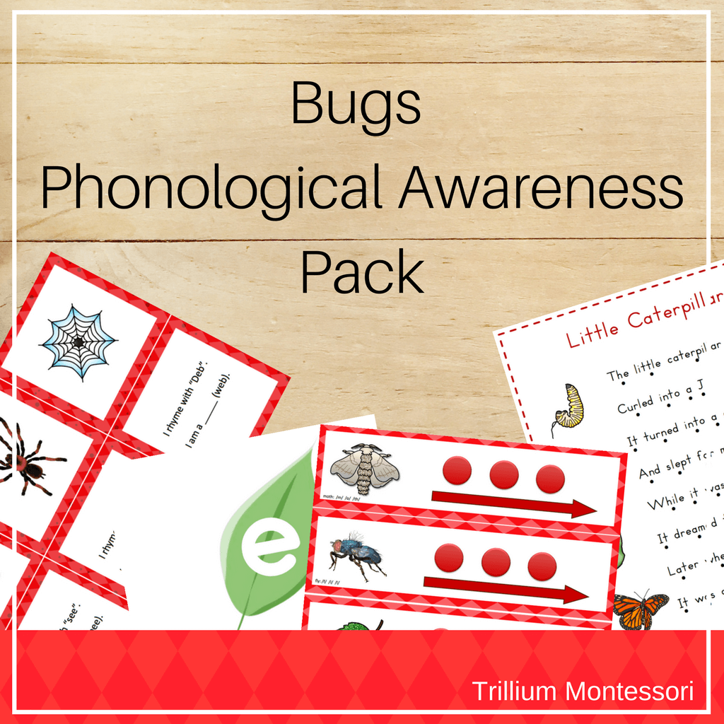 Bugs Phonological Awarness Pack