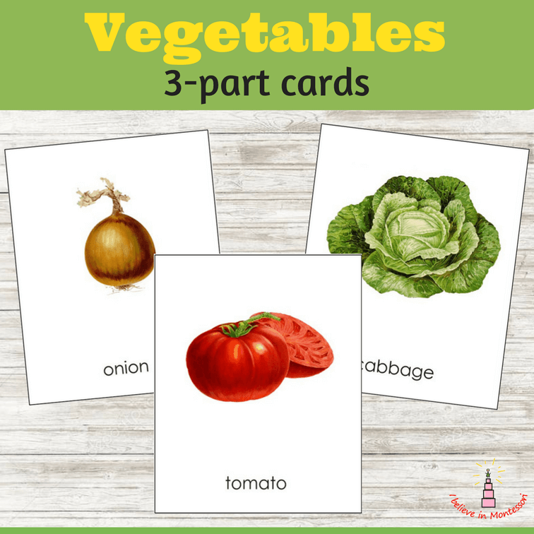 Toddler Bundle 2018 Vegetables 3-part Cards