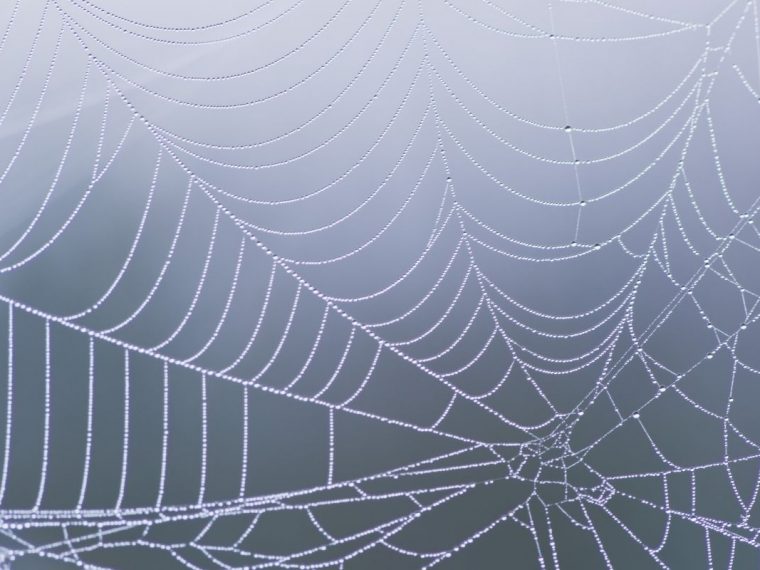 How To Draw A Spider Web