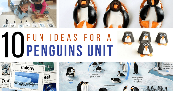 Use this set of amazing blog posts to create a penguin unit this winter for your kids